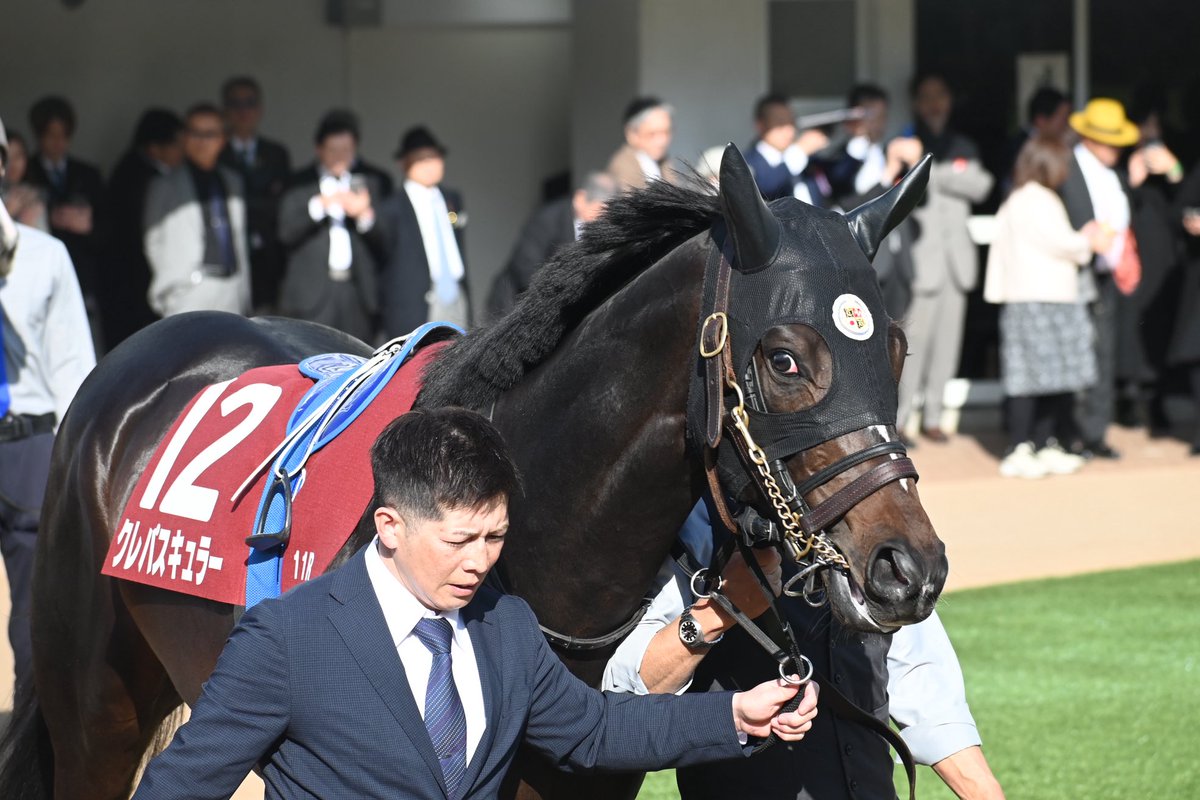 いつもより相手が強そうなので
異変を察知しちゃって負けちゃったのかな❓🥺
#スプリングS
#クレパスキュラー