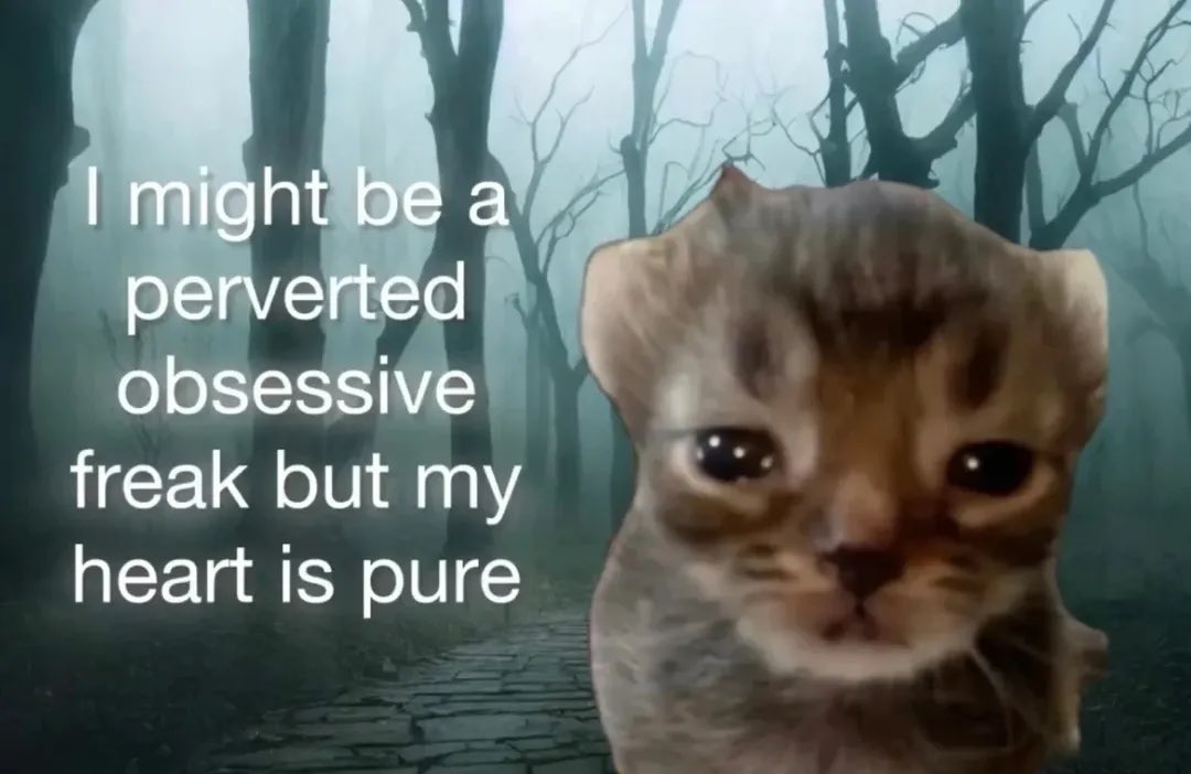 raccoon aesthetic. tweet media