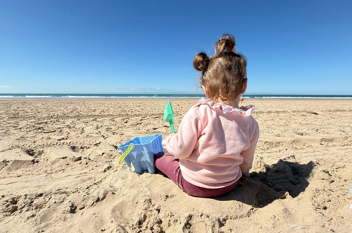 Curriqui tweet media