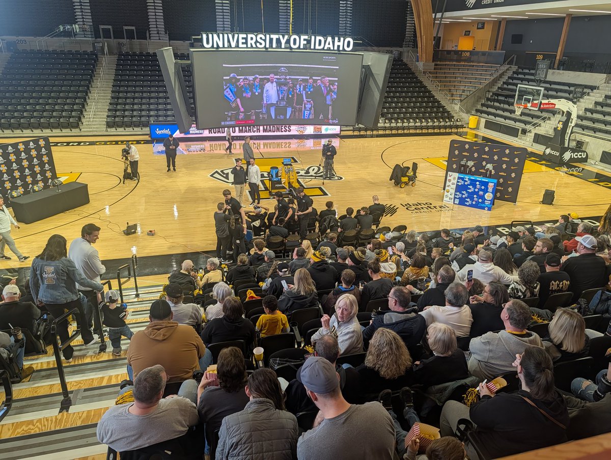 Trevor Junt tweet media