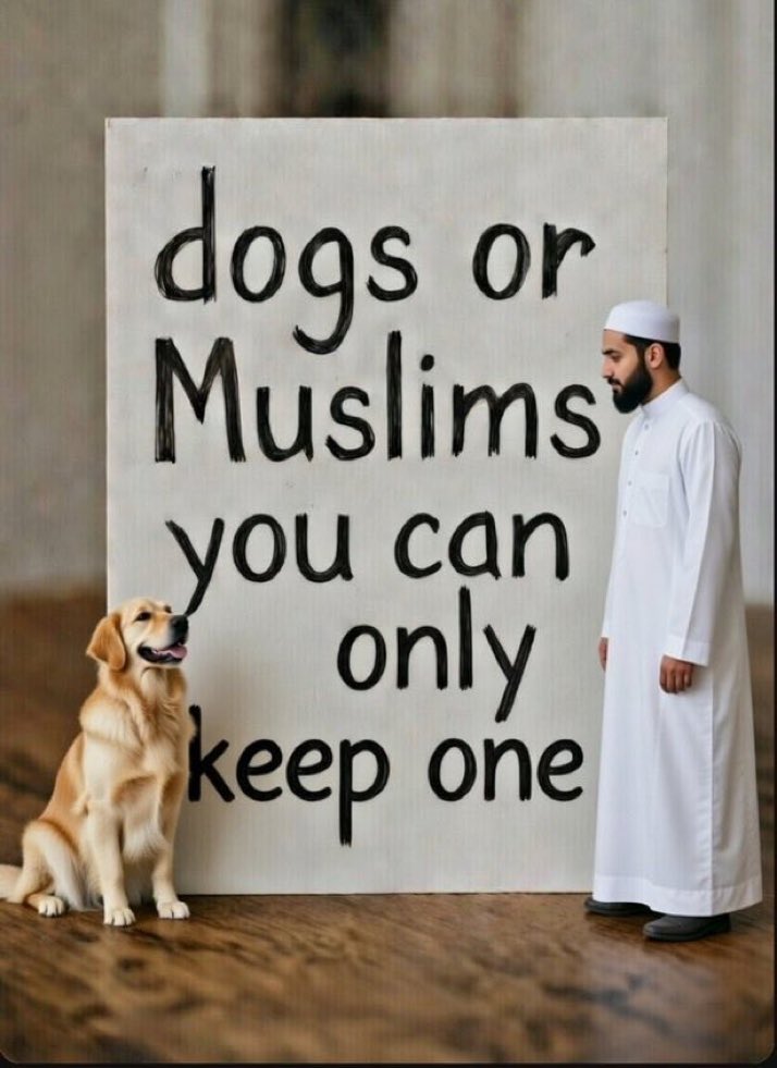 N Ecc 🏴🏴🏴 tweet media