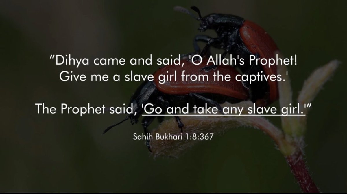 ⁜ Steven B.A. tweet media