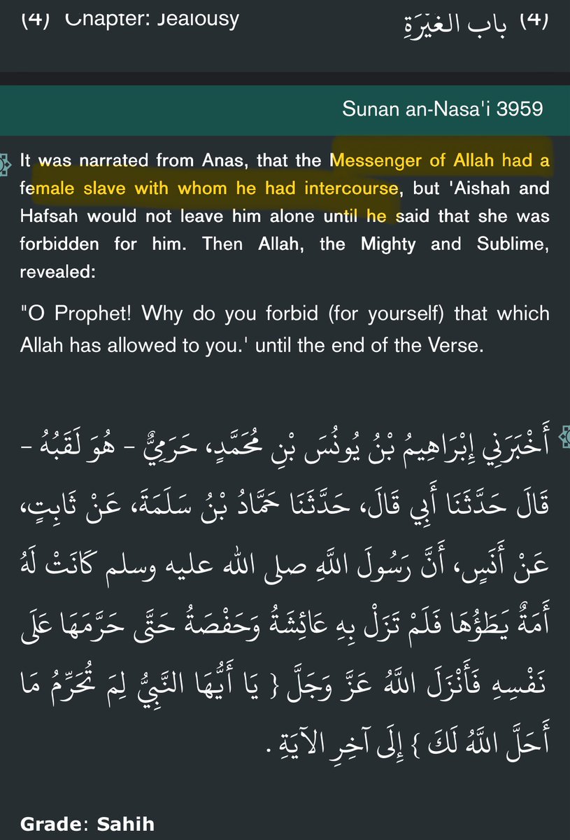 ⁜ Steven B.A. tweet media