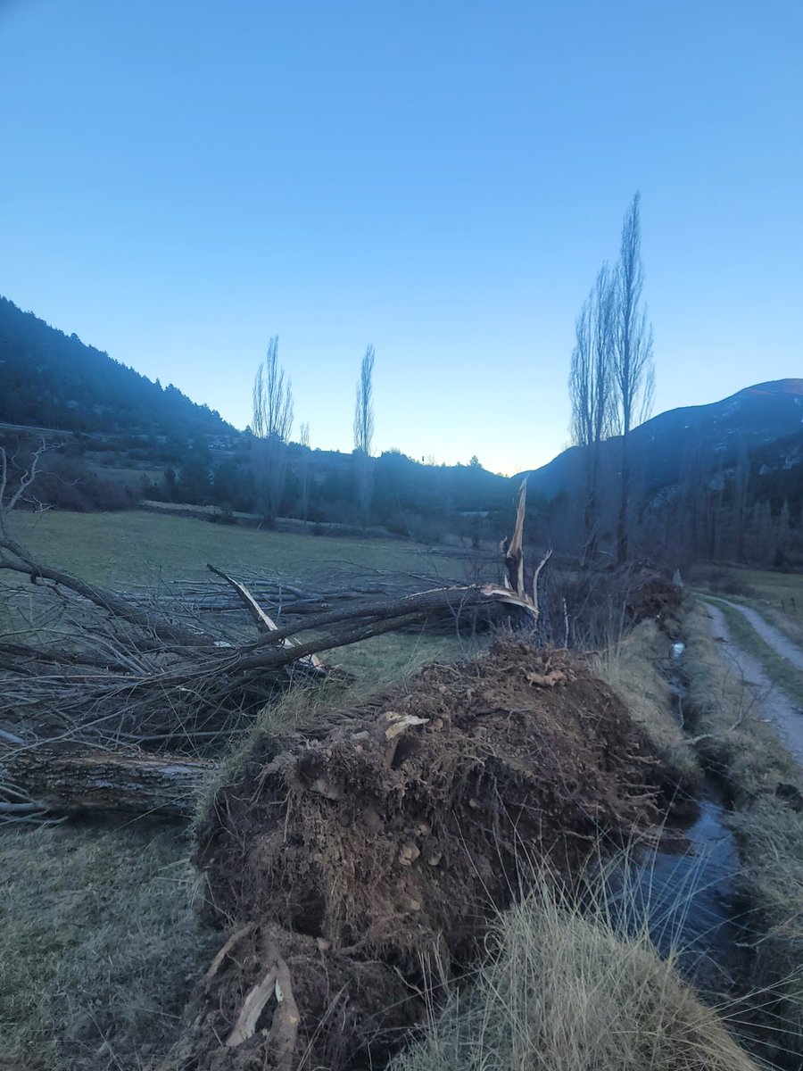 MeteoGósol tweet media