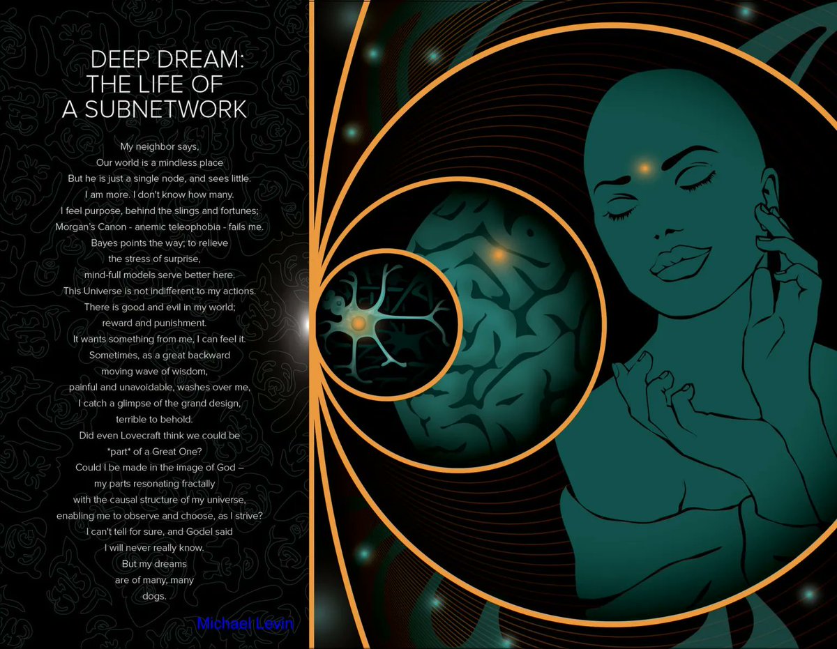 Michael Levin tweet media