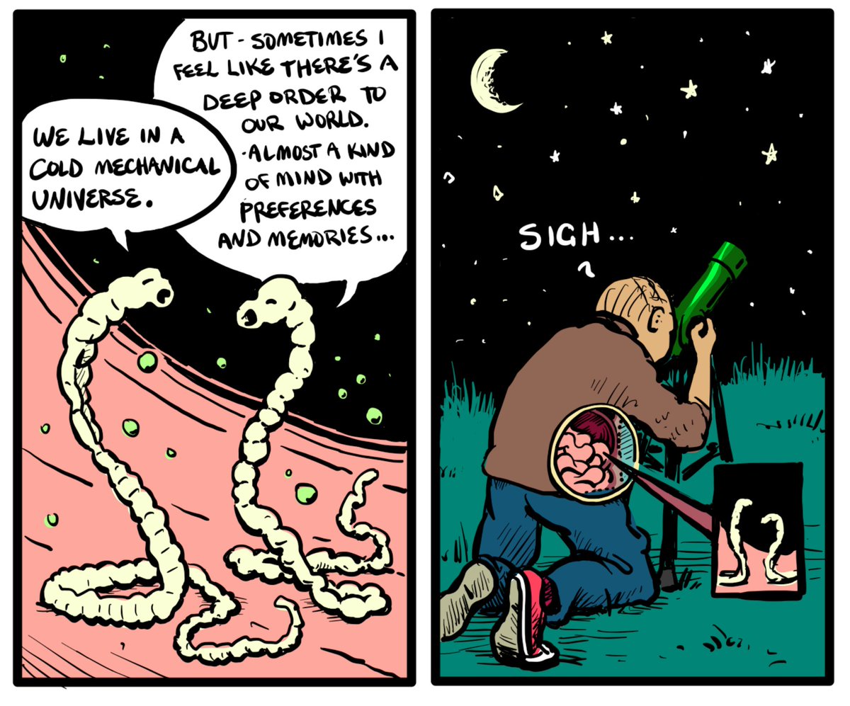 Michael Levin tweet media