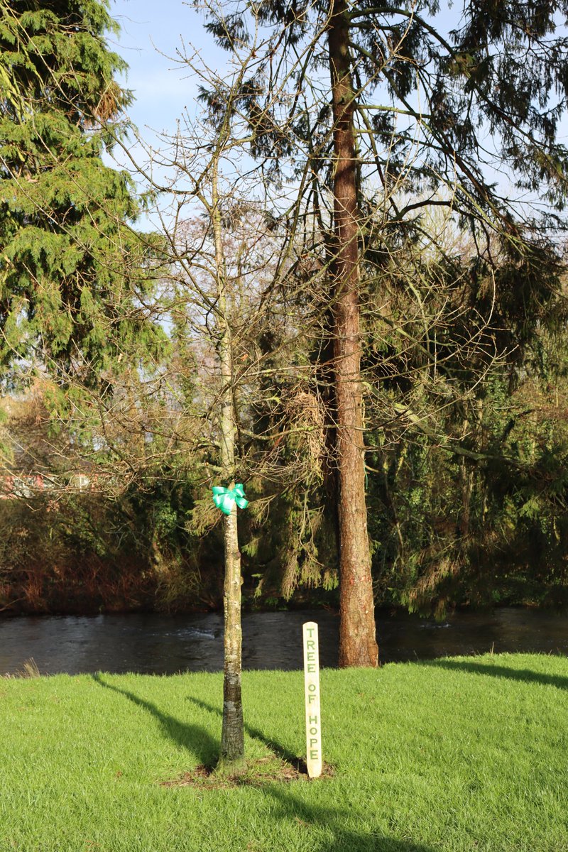 Newbridge Tidy Towns Association #DroicheadNua tweet media