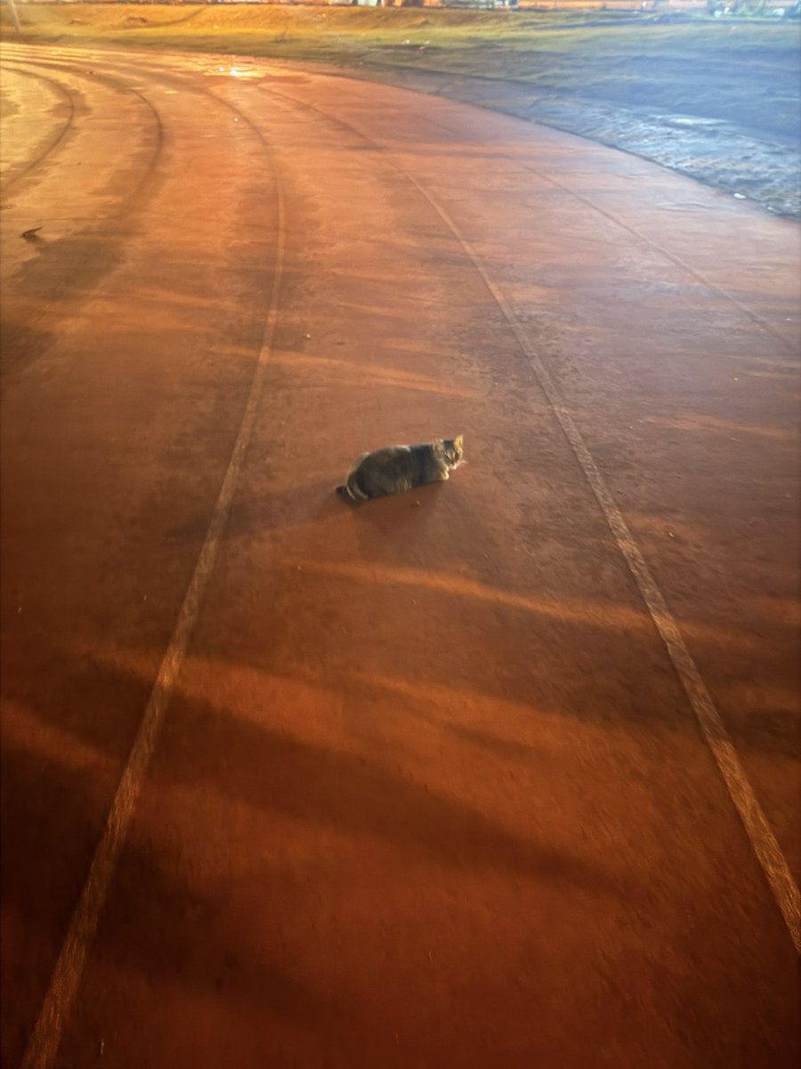 𝐀𝐬𝐡 tweet media