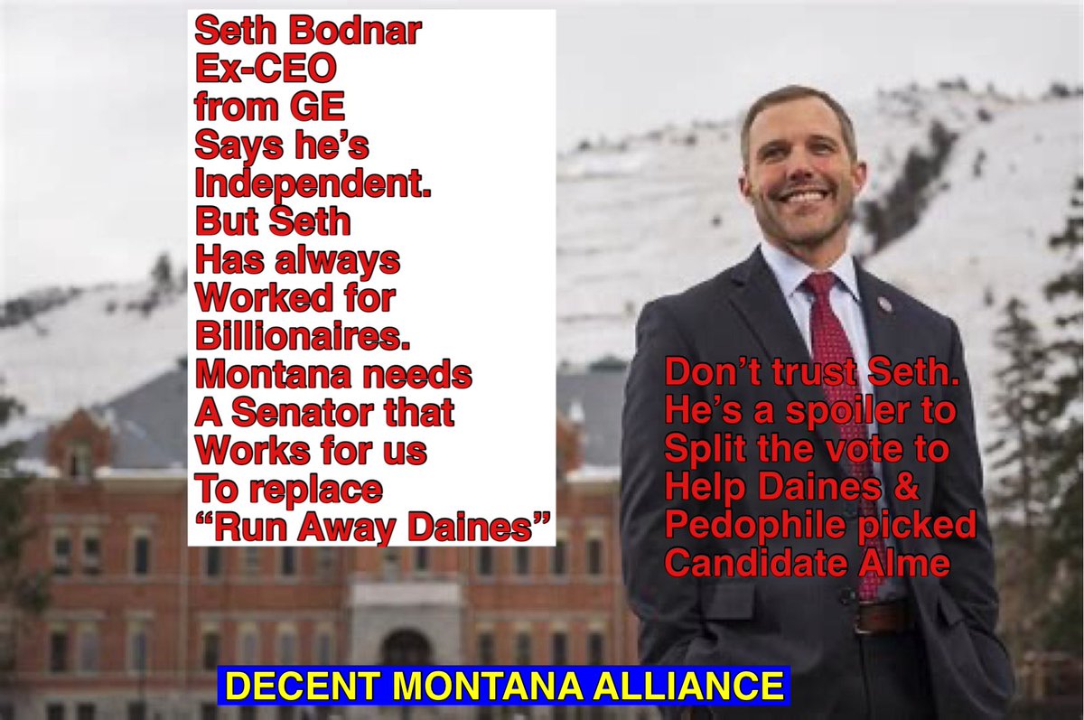 problembear tweet media