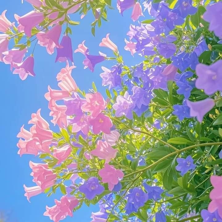 Halosiblings's tweet photo. Nousporist having the most aestheically pleasing group color palette https://t.co/8qBiDlVWPD