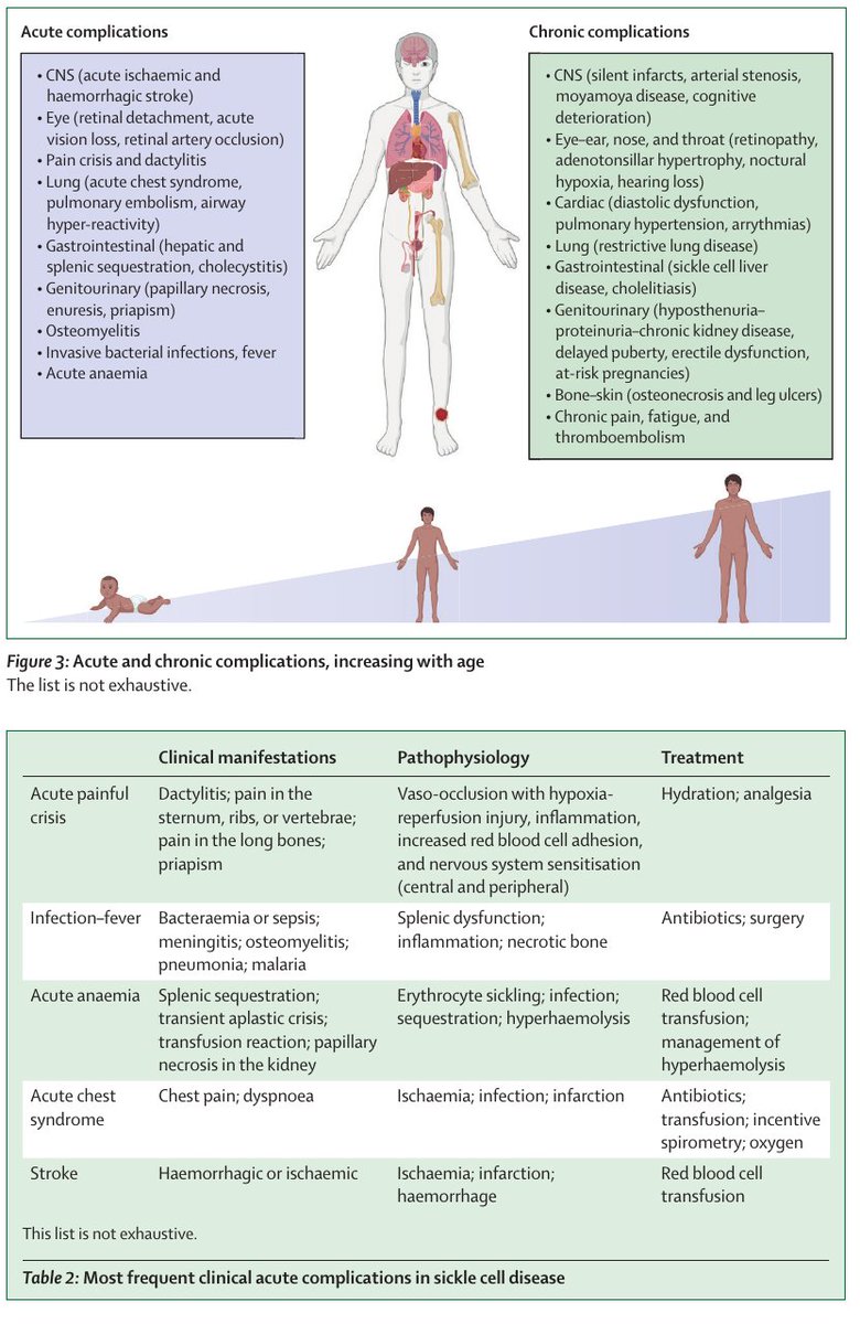 Medicina Interna HCSBA tweet media