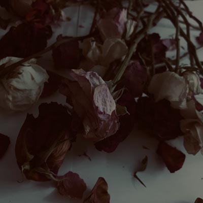 𝑬𝒓𝒊𝒄𝒂 𝑴. 𝑻𝒖𝒓𝒏𝒆𝒓 tweet media