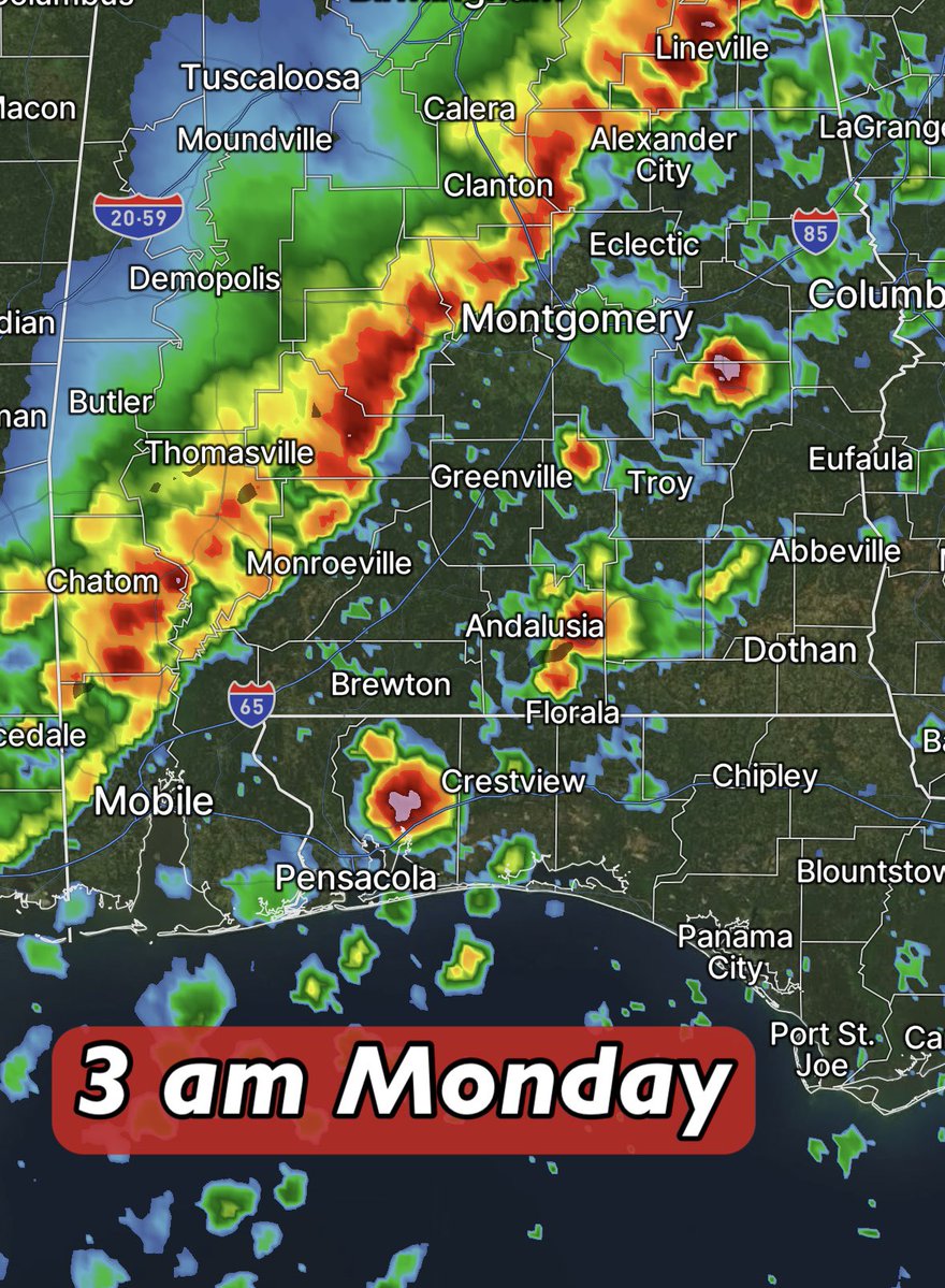 David Paul tweet media