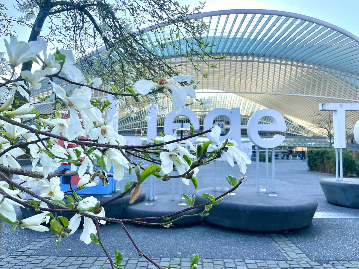 Geert_gabriels's tweet image. Treinen in Wallonië is een feest. ❤️ #architectuur #verwondering #stations #Liege #Mons @S_Calatrava