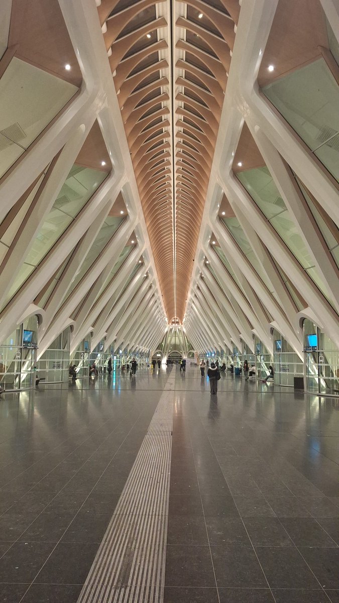 Geert_gabriels's tweet image. Treinen in Wallonië is een feest. ❤️ #architectuur #verwondering #stations #Liege #Mons @S_Calatrava