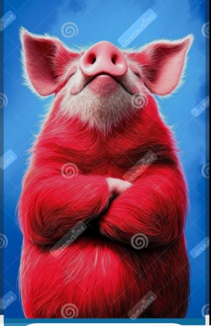 JUANA VALDIVIA REYES ⭐🇨🇱⭐🇨🇱 tweet media