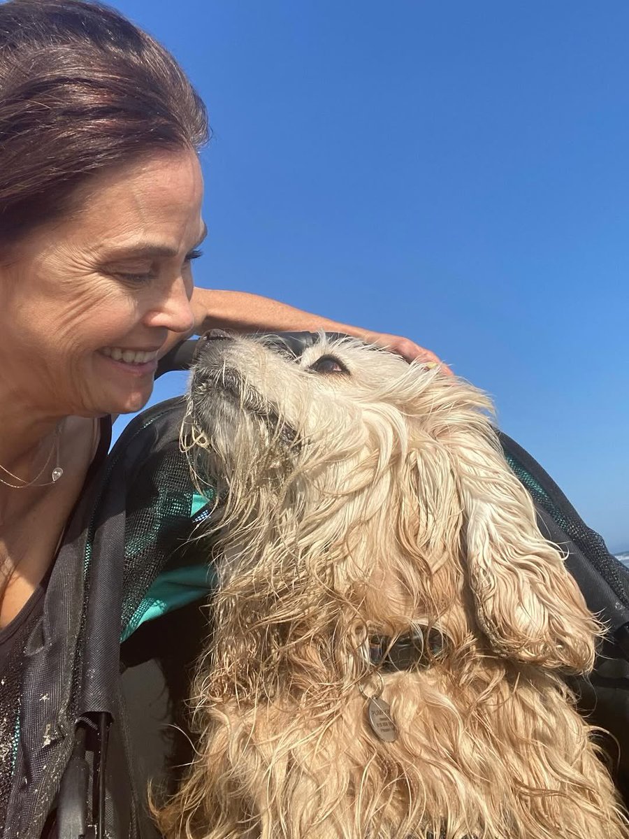 Teri Hatcher tweet media