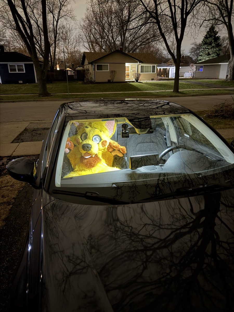 Dipper | Trix 🔜FWA tweet media