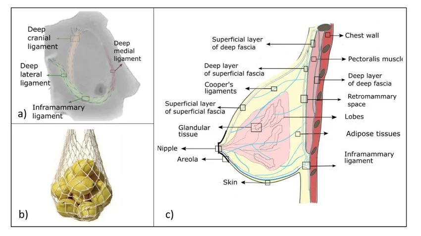 𑣲┆ᴢᴇʀᴏᴅɪᴘɪᴛʏ ˚.⋆ֹ tweet media