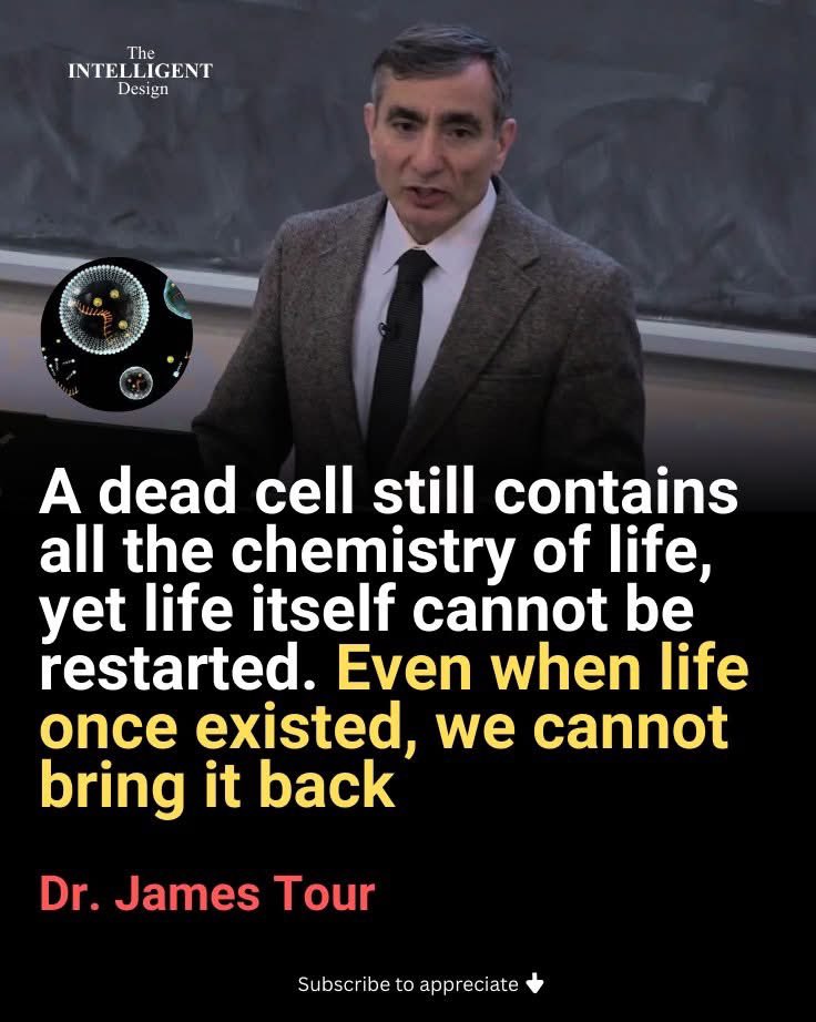 Not Evolution tweet media