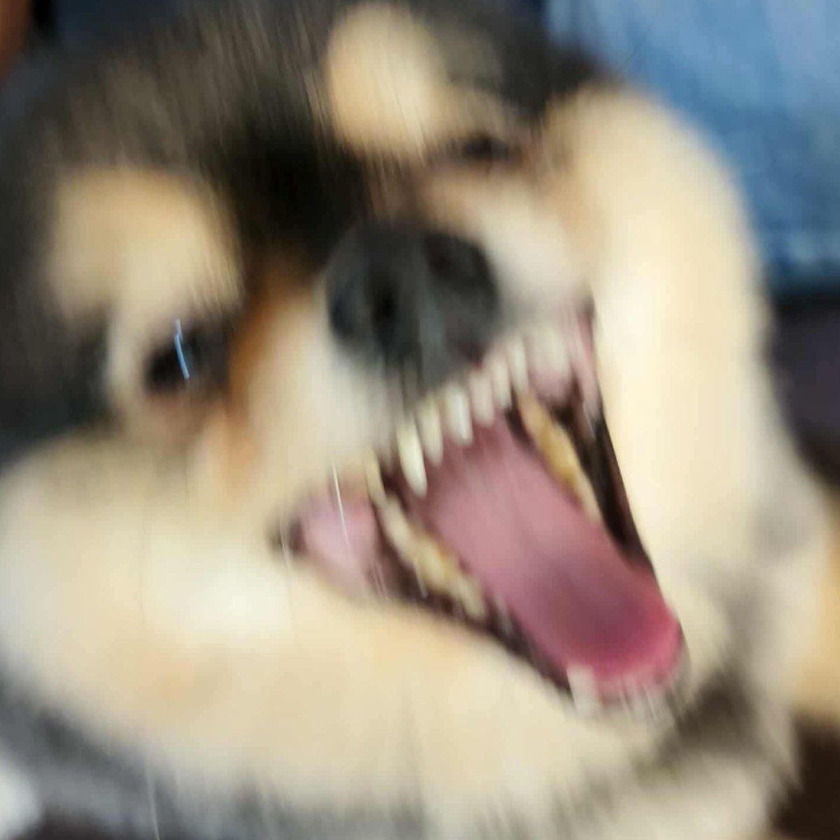 Evalia 👻 《ARP》 tweet media