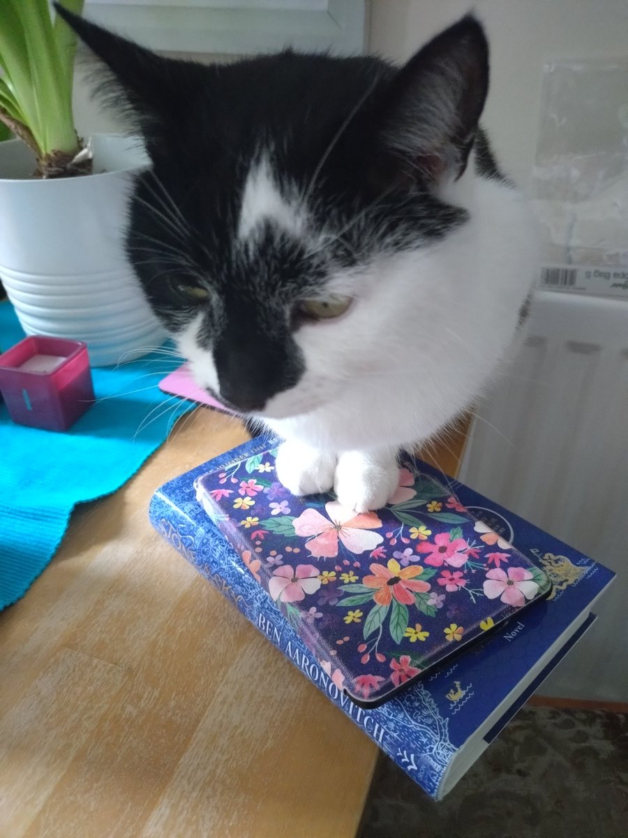 Anna Blight tweet media