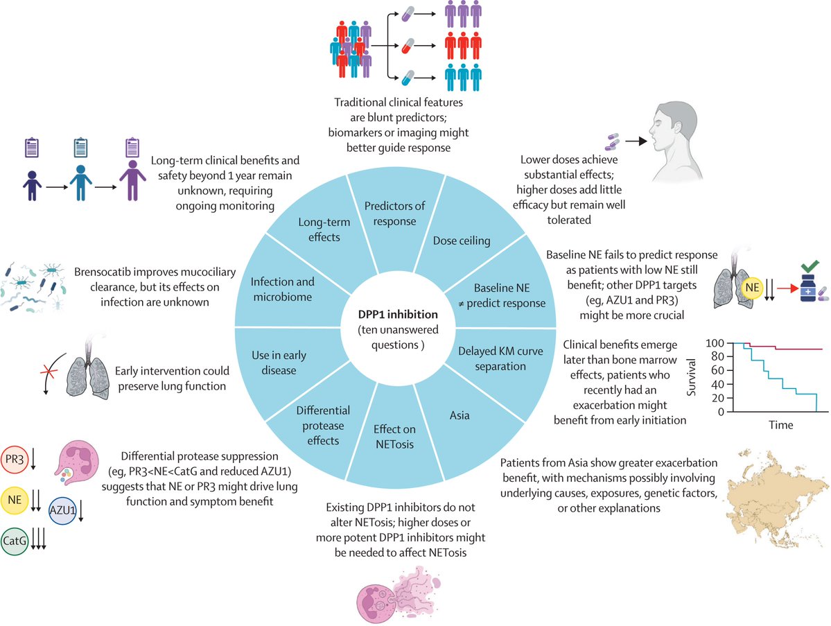 James D Chalmers tweet media