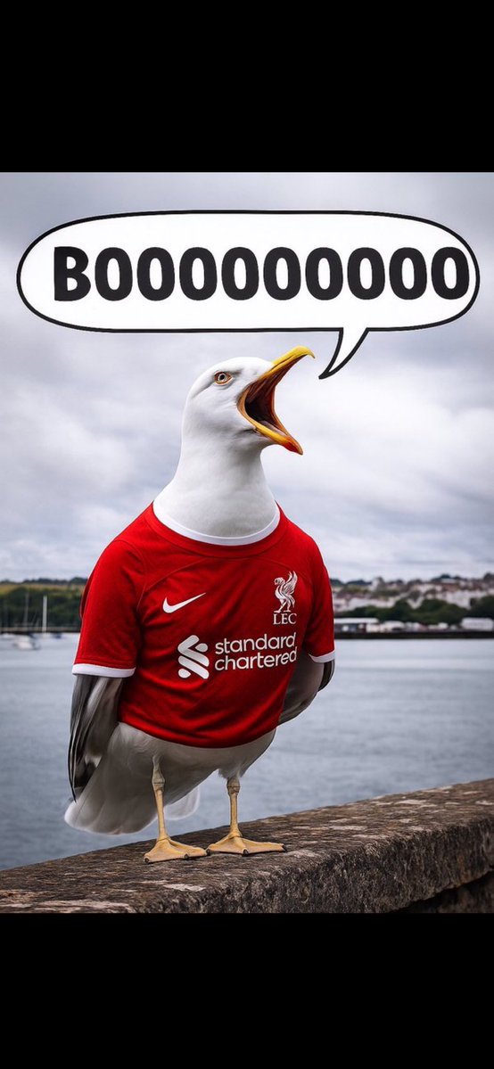 Steven Biggs tweet media