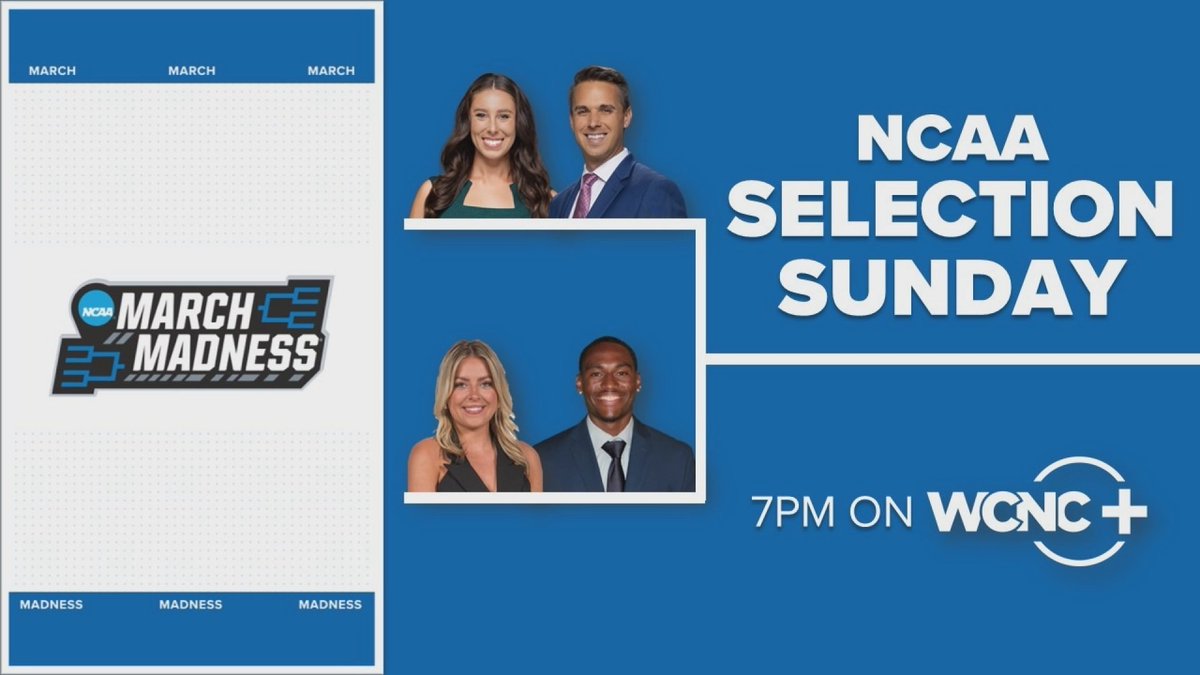 Danielle Stein tweet media