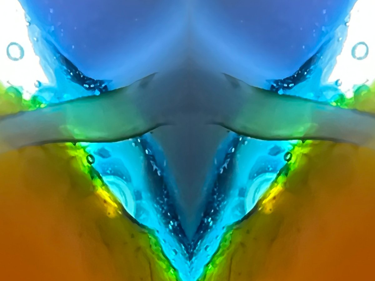 Braindigs.tez tweet media