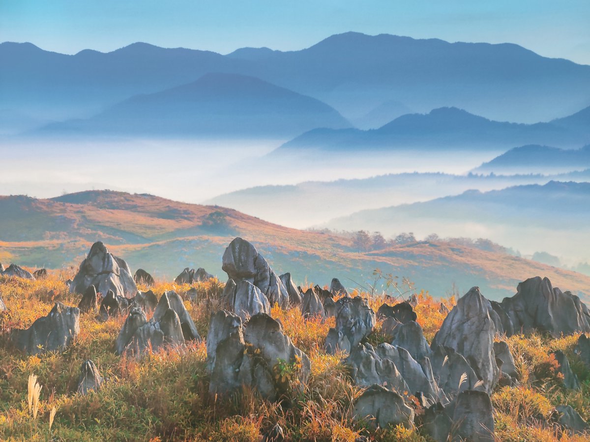 Beatrix Haupt tweet media