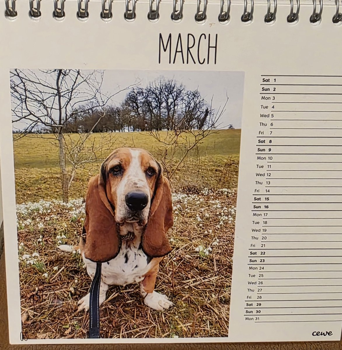 Ruby Monster tweet media