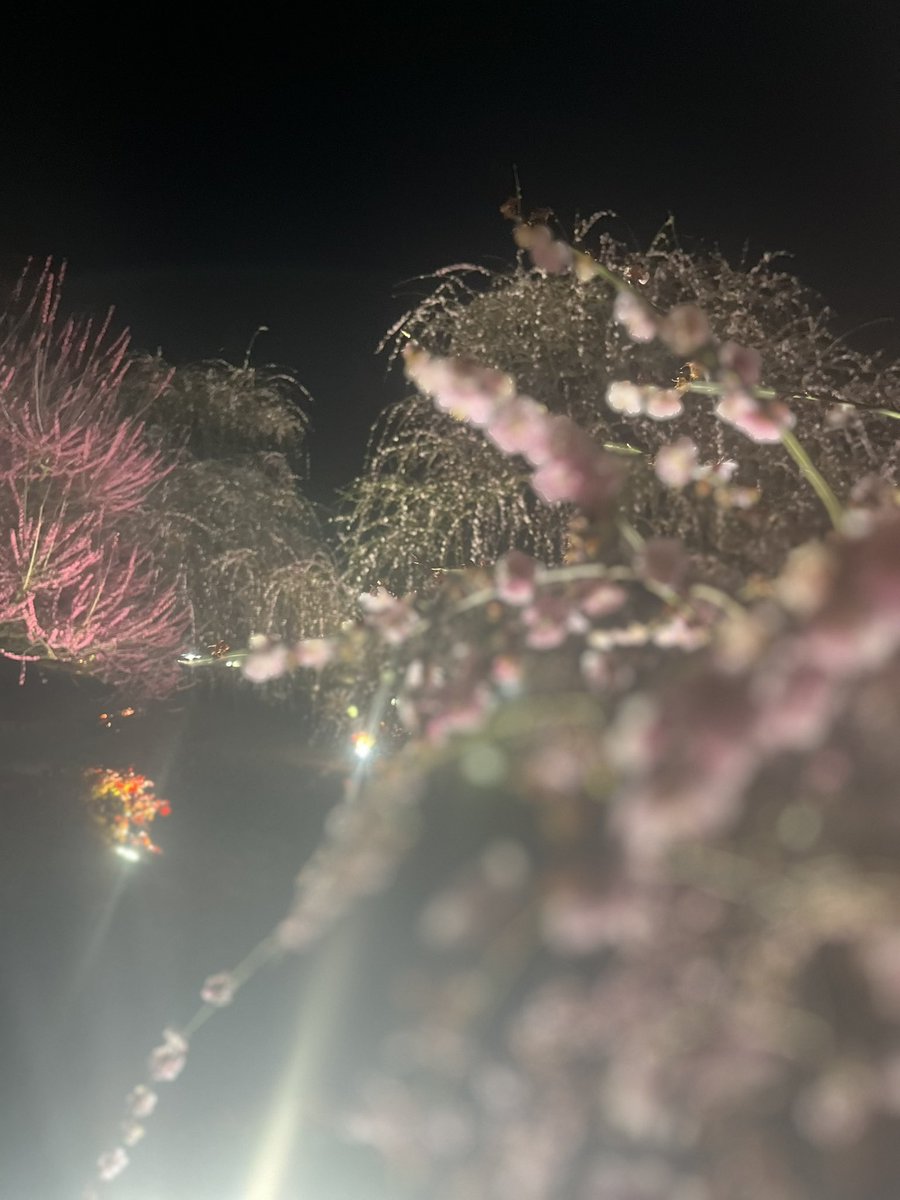 TravisBarker tweet media