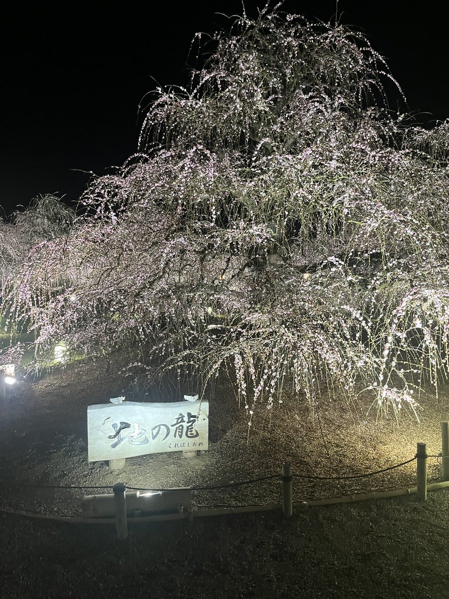 TravisBarker tweet media