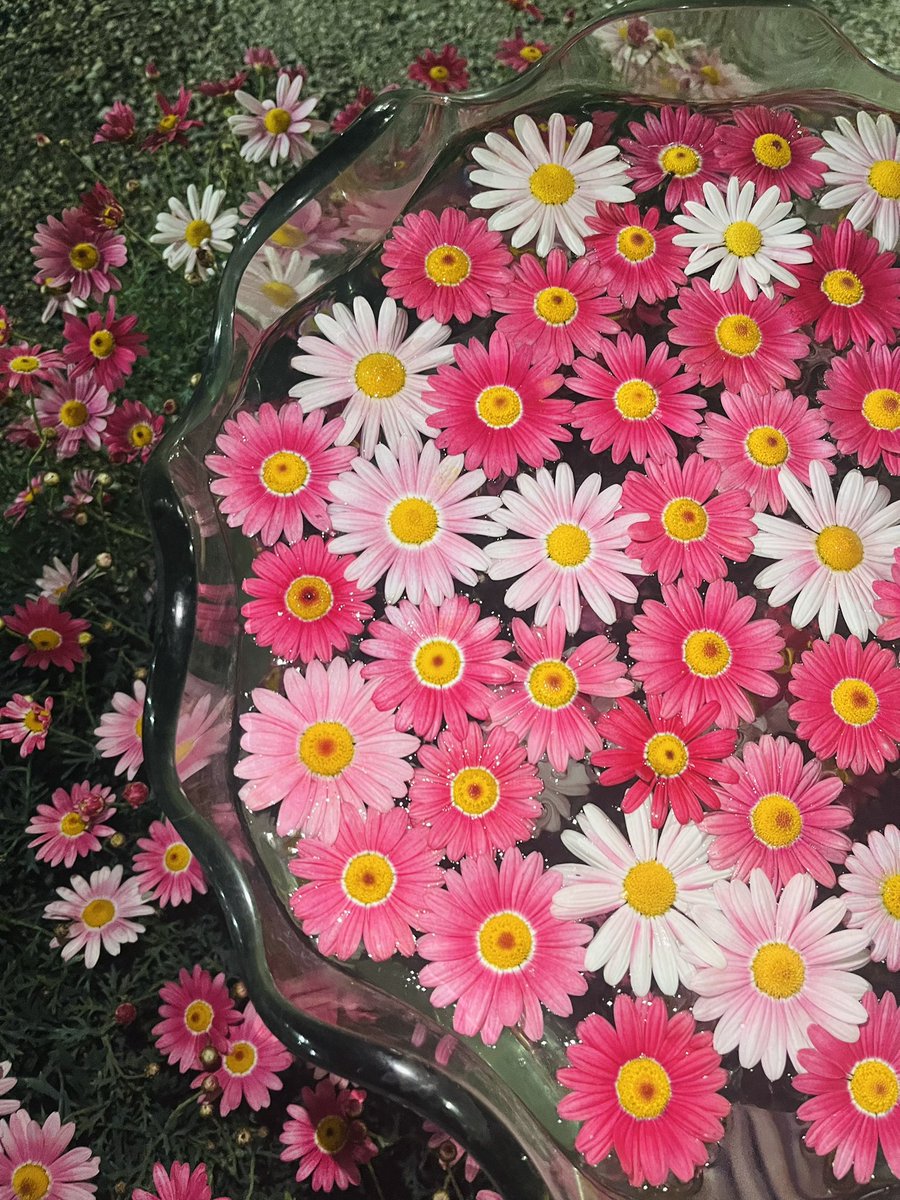 TravisBarker tweet media