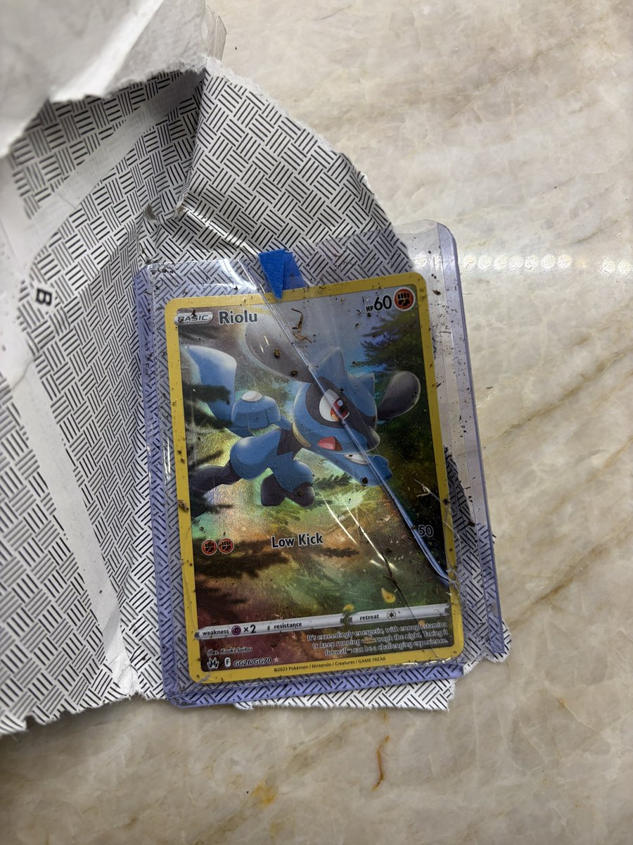 higherplzz tweet media