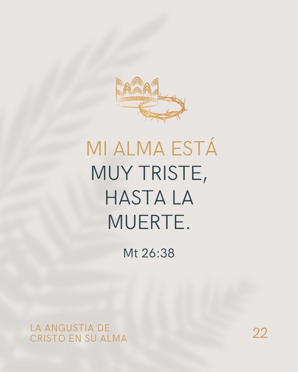 Editorial Portavoz tweet media