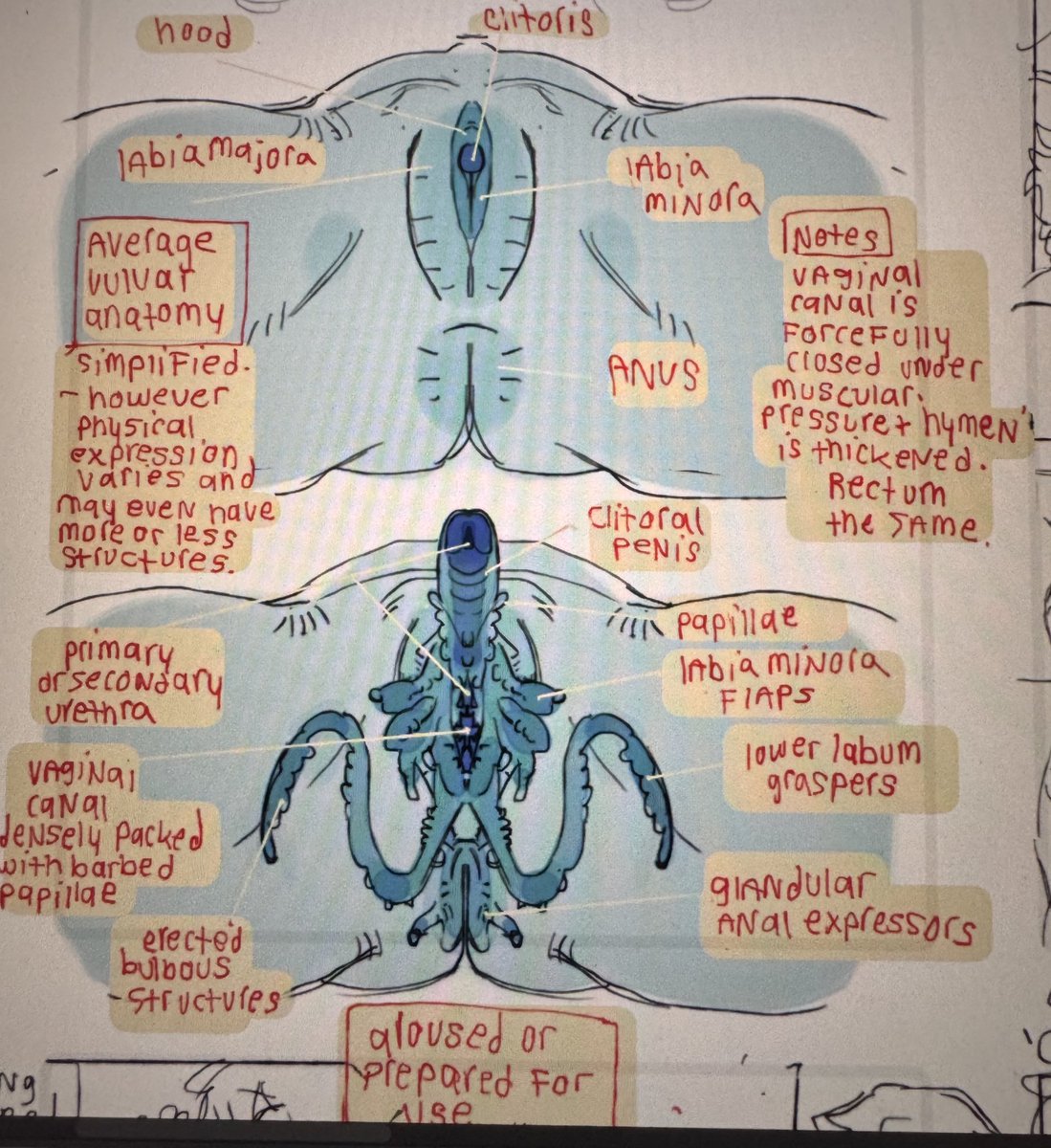 Nine’s monsters 🔞 tweet media