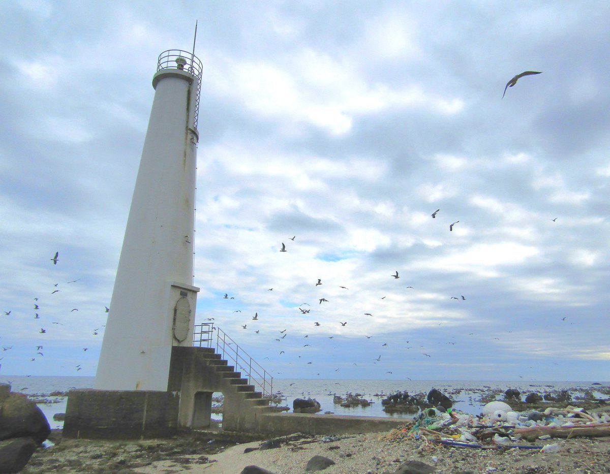 あまべ tweet media