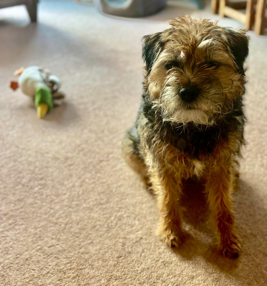 Geoff Barton tweet media