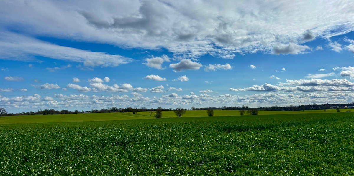 Geoff Barton tweet media