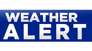 David Burns 🇺🇸🗽🇺🇸 tweet media