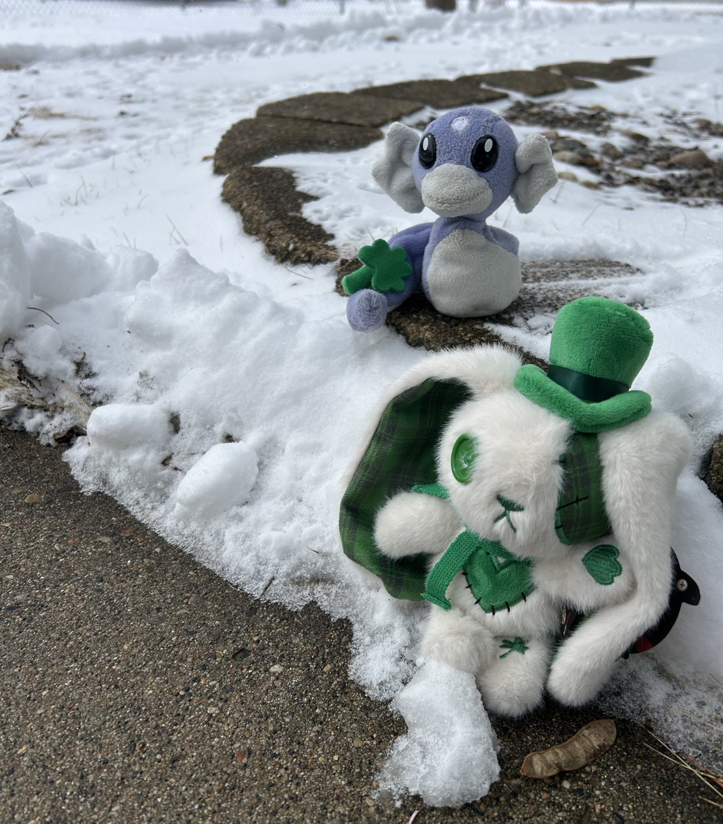 Tammy Krogstad tweet media