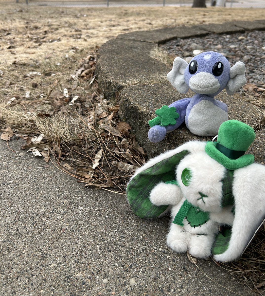 Tammy Krogstad tweet media