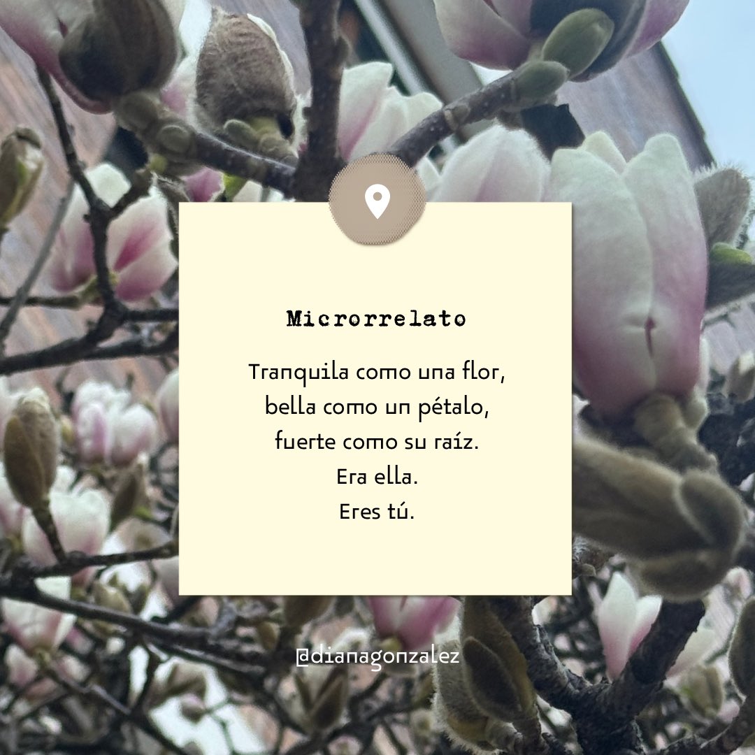 Diana González tweet media