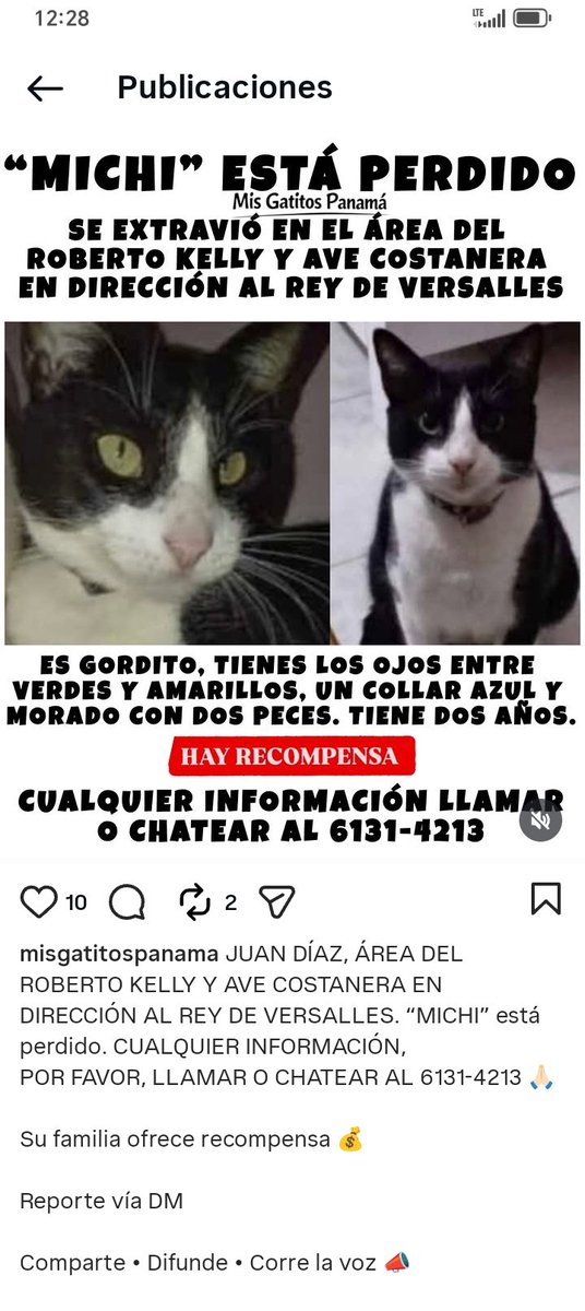 <a href="/labigottes/">Clubdegatospanama, Labigotes y colita</a> <a href="/sarat1165/">Sara Rugliancich</a> <a href="/SeferinaMelgar/">Seferina Melgar</a> <a href="/dayra_icaza/">dayra icaza</a> <a href="/edithfirst22/">Mélida 🌺🐾💐</a> <a href="/fundasispma/">Fundación San Francisco de Asís ( FUNDASIS )</a> <a href="/heramito/">Yira Lopez De Leon</a> <a href="/ivetteodalys/">Ivette Berrio</a> <a href="/LP19732/">LP1973</a> <a href="/PatasyPies/">Patas y Pies</a> <a href="/PatasPanama/">Patas Panama</a> <a href="/corazonconhuell/">Corazon Con Huellas</a>