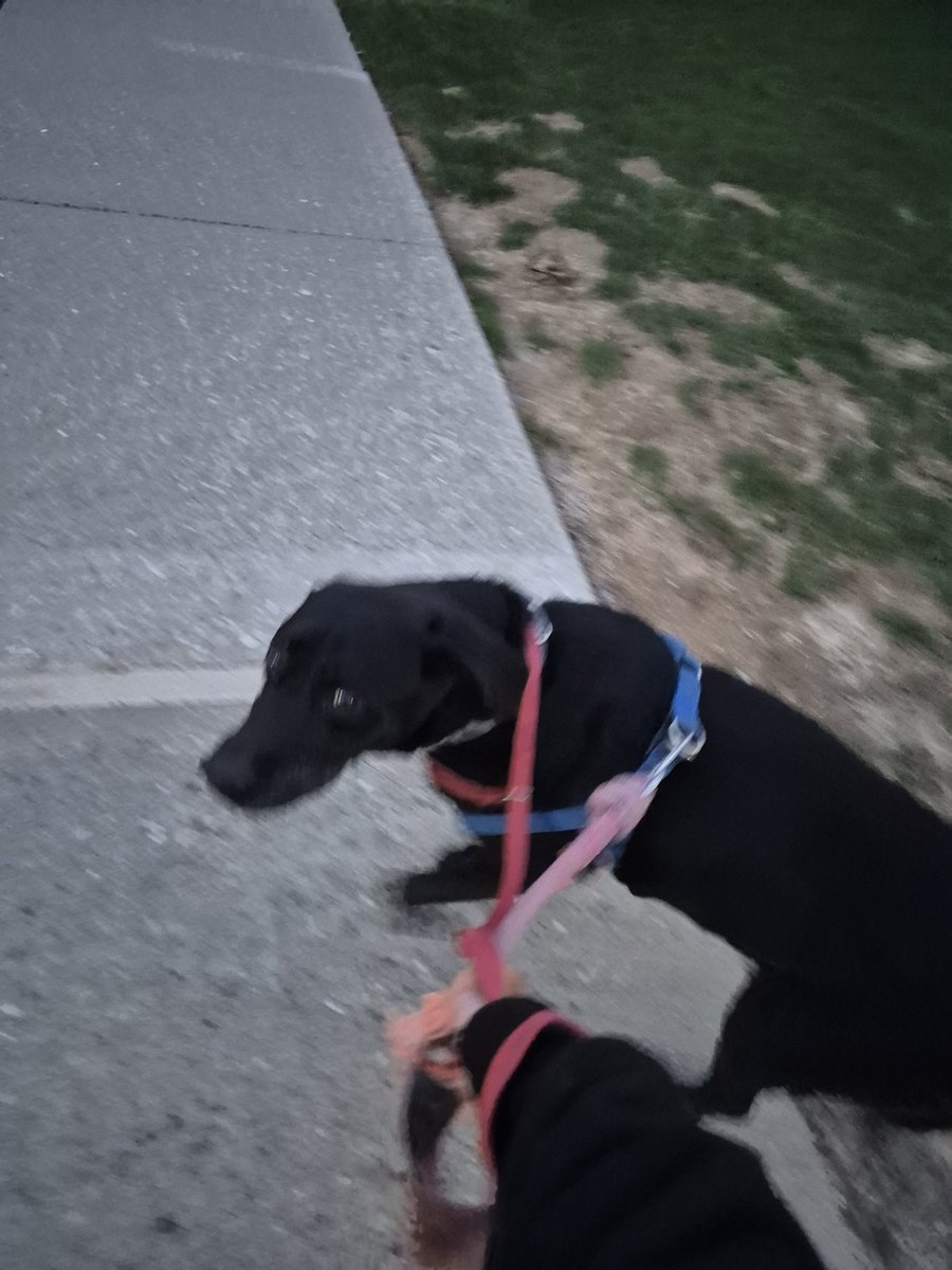 kat & jack .𖥔 ݁ ˖ tweet media