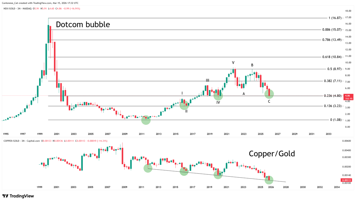 Cantonese Cat 🐱🐈 tweet media