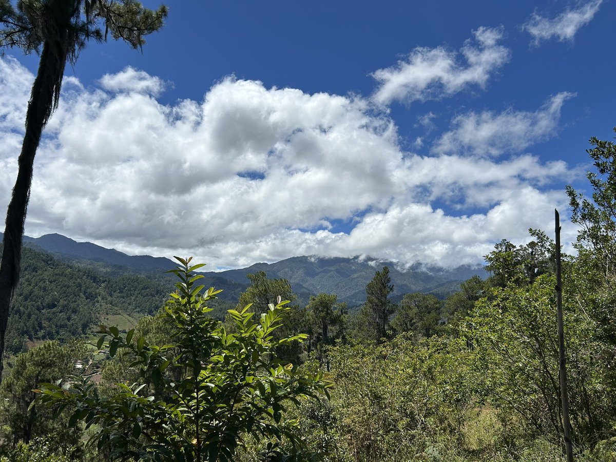 José E. Devárez tweet media