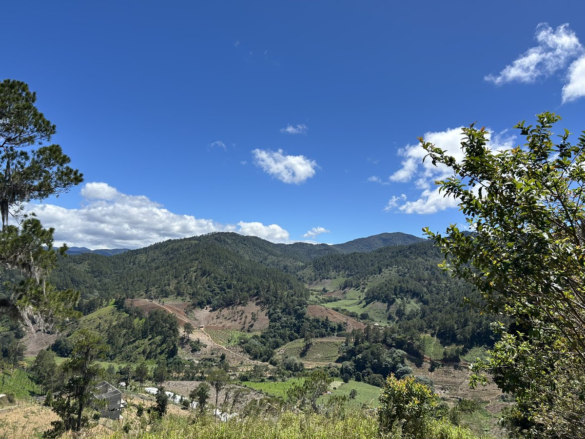 José E. Devárez tweet media